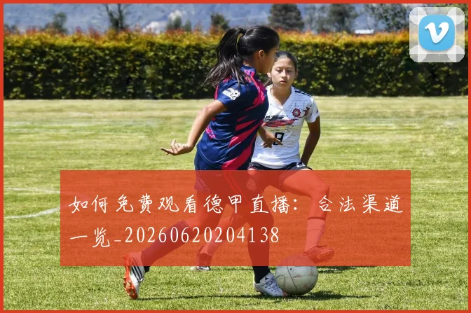 如何免费观看德甲直播：合法渠道一览_20260620204138