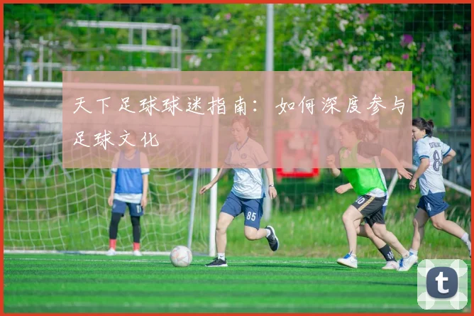 天下足球球迷指南:如何深度参与足球文化