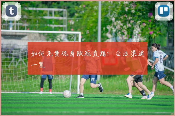 如何免费观看欧冠直播：合法渠道一览